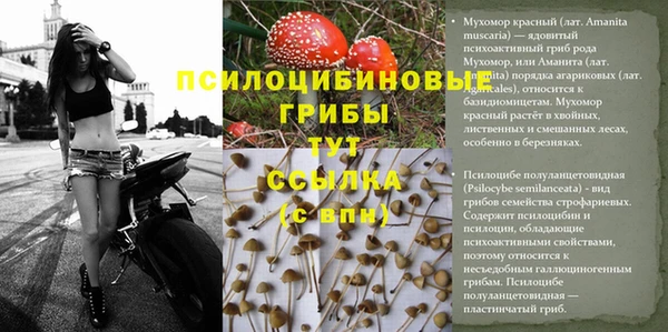 соль ск Баксан