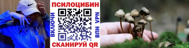 Галлюциногенные грибы Cubensis  цена   Красный Холм 