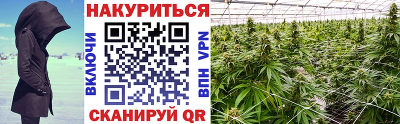 Канабис White Widow  Красный Холм 